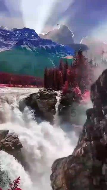 海底世界填颜色5